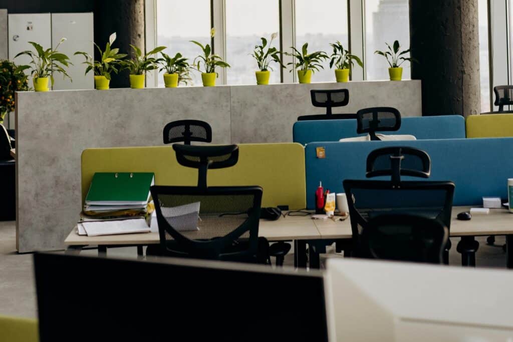 Inside an empty office with brightly coloured dividers and plant pots